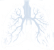 lungs